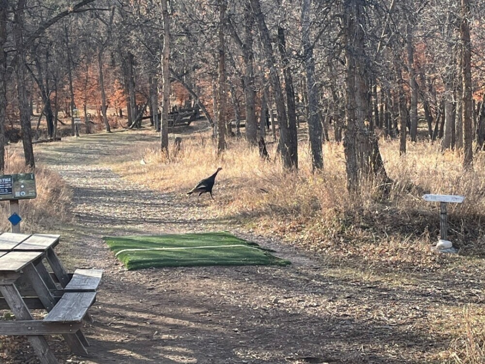Hole 1, Spearfish Canyon Disc Golf 