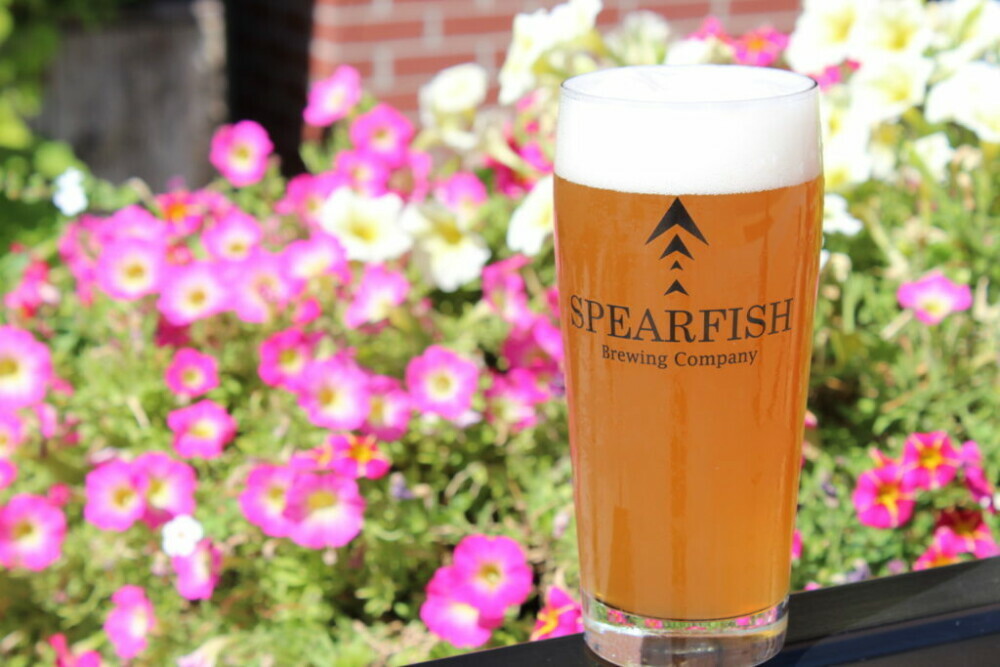 Spearfish Brewery Termes Beer Spearfish Brewery Termes Beer