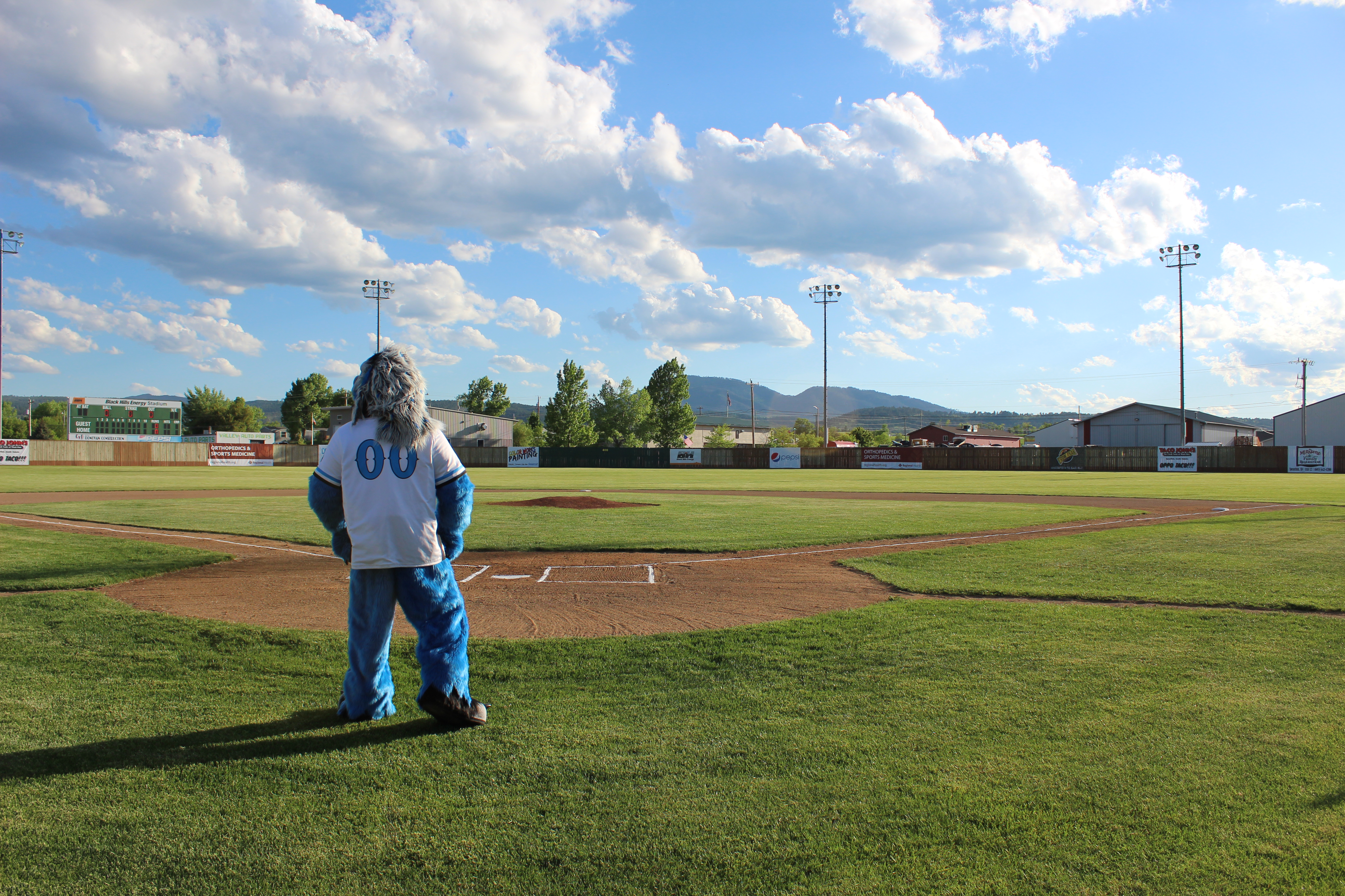 Sasquatch Sighting