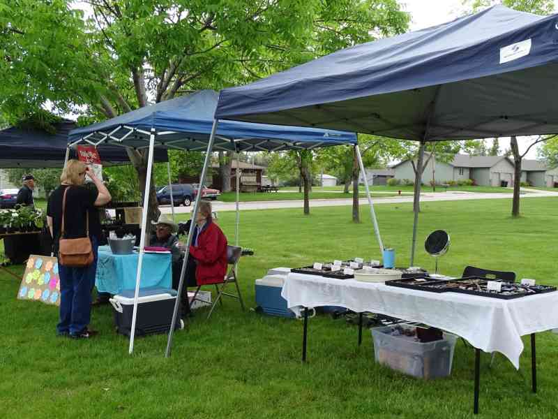 Neighbors 2 neighbors Black Hills, Spearfish, South Dakota, Neighbors 2 Neighbors, Farmer's Market, Local Vendors, Family-Friendly Event, Foods